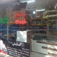 قطعات یدکی پکیج و آبگرمکن دیواری