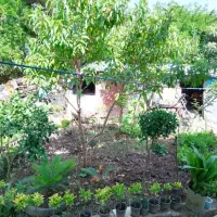 خانه ویلایی|فروش خانه و ویلا|چابکسر, |دیوار