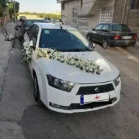 دنا تیپ ۲