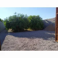 باغچه منتظری
