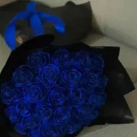 گل تخفیفی|گل مصنوعی|کرمانشاه, |دیوار