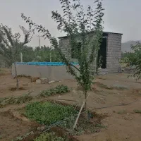 باغ سیمین زاغه