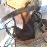 زین اسب کورسی آلمانی مخصوص سوارکاری قدمت دار|اسب و تجهیزات اسب‌سواری|بهار, |دیوار