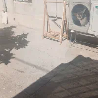 رگال جالباسی چوبی|جاکفشی، کمد، دراور|کرمانشاه, |دیوار