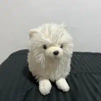 عروسک|اسباببازی بچه|بندر انزلی, کلیور|دیوار