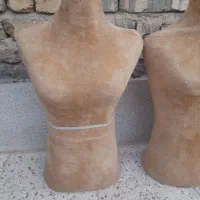 مانکن سوزن خور