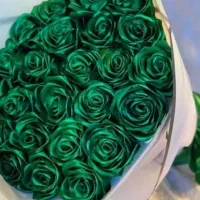 رز گل ربانی|گل مصنوعی|شیروان (خراسان), |دیوار