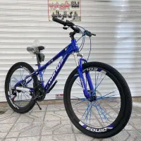 دوچرخه دینوس انتخابی مطمئن24.26|دوچرخه، اسکیت، اسکوتر|مشهد, هنرور|دیوار