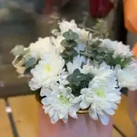 تخفیف ویژه گل طبیعی روز زن و مادر|گل و گیاه طبیعی|فردیس, فردیس|دیوار