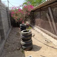 فروش خانه ویلایی پشته ایسین|فروش خانه و ویلا|بندرعباس, |دیوار