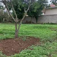 زمین مسکونی