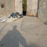 گرگور بافی محمدعلی نبییان|ماهیگیری|بوشهر, |دیوار