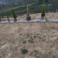 فروش-زمین-250-متری-مسکونی-با-سند-تک-برگ