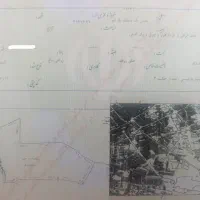 زمین-در-سعادتی