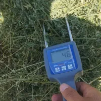یونجه درجه 1 در دهدشت