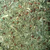 خارشتر درجهیکپردانهسبز وتازهچین