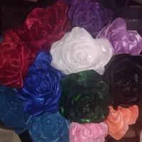 گل روبانی زیبا