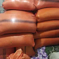 شلتوک وجوی هاشمی رو به صورت نقدی خریداریم