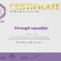 ریمو تخصصی ابرو خط لب خط چشم آموزش