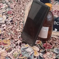 گاردگوشی شربتی