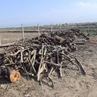 نیرو بارچین چوب