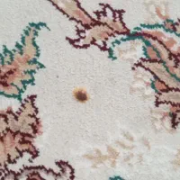 2عددفرش 9متری 700شانه|فرش|گلستان (تهران), |دیوار