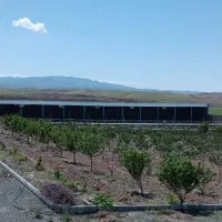 دامداری|فروش دفتر صنعتی، کشاورزی، تجاری|فریمان, |دیوار