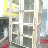 جفت کن کفتر یاکبوتر