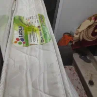 تشک نوجوان مارک آپادنا