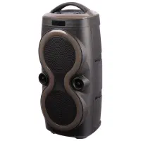 اسپیکر چمدانی بلوتوثی میکروفون شارژی وکنترلدار|سیستم صوتی خانگی|رشت, دیانتی|دیوار