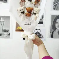 انواع عروسک فقط ۶۰۰ و ۷۰۰. اقتصادی