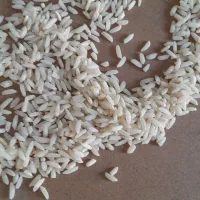 فروش برنج کاظمی ۲۵۵|خوردنی و آشامیدنی|دورود, |دیوار