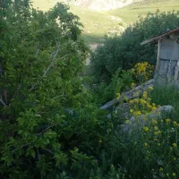 فروش زمین