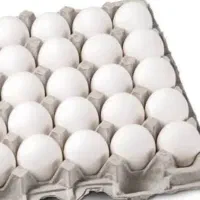 پخش تخم مرغ عمده و خرده