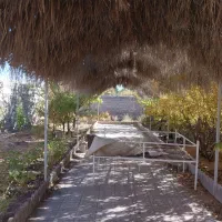 خونه باغ جوپار عباس آباد بعد از کارخانه روغن نباتی|فروش خانه و ویلا|ماهان, |دیوار