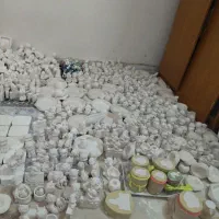 نماد سال اسب