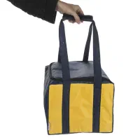 کیف عایق مدل آزالیا همراه با یخ خشک