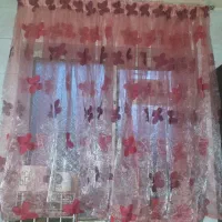 دوعددپرده درحدنو