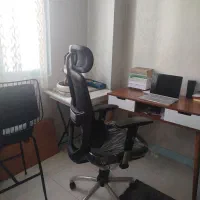 فروش صندلی ارگونومیک