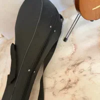 سه تار مهر هاتف به همراه کاور|سازهای سنتی|مشهد, شهید فرامرز عباسی|دیوار