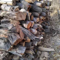 فروش ویژه چوب