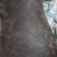 ۱۴۰۰|خوردنی و آشامیدنی|نورآباد, |دیوار