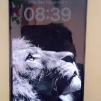 iphone 13 pro 256 2 sim ch