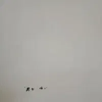 گارکر کچ گاری