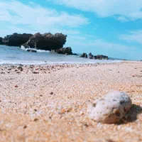 گشت قشم|تور و چارتر|قشم, |دیوار