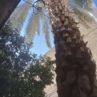 فروش-منزل-ویلایی