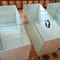 تانک 100*45*40|ماهی|صدرا-فارس, فاز ۲|دیوار