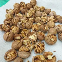 گردو و بادام 1