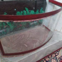شیشه آکواریوم