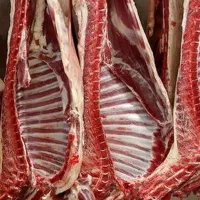 قصابی ارزان سرای گوشت امام رضا